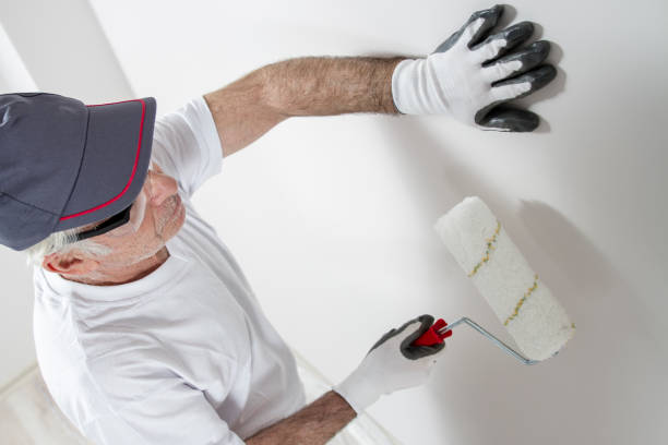 Best Drywall Removal and Disposal  in Dandridge, TN